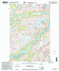 Taku River A-5 Alaska Historical topographic map, 1:63360 scale, 15 X 15 Minute, Year 1996