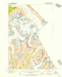 Taku River B-5 Alaska Historical topographic map, 1:63360 scale, 15 X 15 Minute, Year 1951