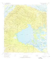 Tanacross A-4 Alaska Historical topographic map, 1:63360 scale, 15 X 15 Minute, Year 1948