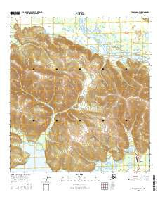 Tanacross A-4 NE Alaska Current topographic map, 1:25000 scale, 7.5 X 7.5 Minute, Year 2016