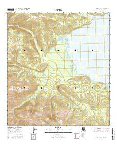 Tanacross A-4 SW Alaska Current topographic map, 1:25000 scale, 7.5 X 7.5 Minute, Year 2016