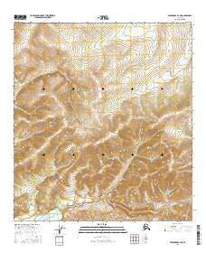 Tanacross B-4 NE Alaska Current topographic map, 1:25000 scale, 7.5 X 7.5 Minute, Year 2016
