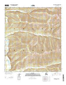 Tanacross D-2 SW Alaska Current topographic map, 1:25000 scale, 7.5 X 7.5 Minute, Year 2013