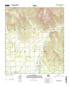 Tanacross D-4 NW Alaska Current topographic map, 1:25000 scale, 7.5 X 7.5 Minute, Year 2013