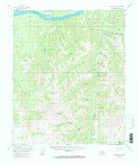 Tanana B-1 Alaska Historical topographic map, 1:63360 scale, 15 X 15 Minute, Year 1956
