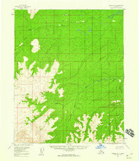 Tanana D-2 Alaska Historical topographic map, 1:63360 scale, 15 X 15 Minute, Year 1956