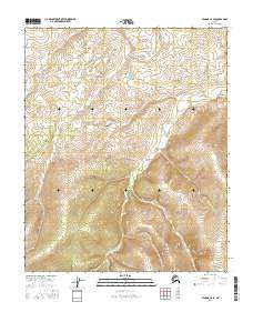 Tanana C-6 SE Alaska Current topographic map, 1:25000 scale, 7.5 X 7.5 Minute, Year 2016