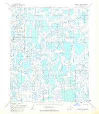 Teshekpuk A-5 Alaska Historical topographic map, 1:63360 scale, 15 X 15 Minute, Year 1955