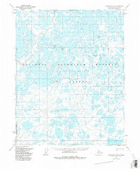 Teshekpuk B-3 Alaska Historical topographic map, 1:63360 scale, 15 X 15 Minute, Year 1955