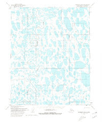 Teshekpuk B-5 Alaska Historical topographic map, 1:63360 scale, 15 X 15 Minute, Year 1955