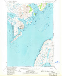 Trinity Islands D-1 Alaska Historical topographic map, 1:63360 scale, 15 X 15 Minute, Year 1952