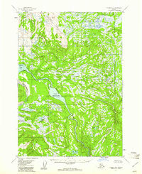 Tyonek B-4 Alaska Historical topographic map, 1:63360 scale, 15 X 15 Minute, Year 1954