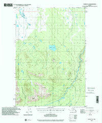 Valdez D-5 Alaska Historical topographic map, 1:63360 scale, 15 X 15 Minute, Year 1996