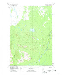Valdez D-5 Alaska Historical topographic map, 1:63360 scale, 15 X 15 Minute, Year 1948
