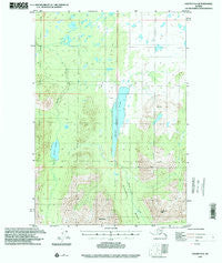 Valdez D-6 Alaska Historical topographic map, 1:63360 scale, 15 X 15 Minute, Year 1993