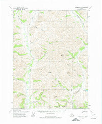 Wiseman C-1 Alaska Historical topographic map, 1:63360 scale, 15 X 15 Minute, Year 1971