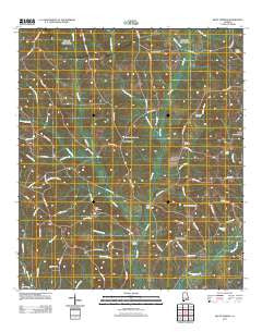 Bluff Springs Alabama Historical topographic map, 1:24000 scale, 7.5 X 7.5 Minute, Year 2011