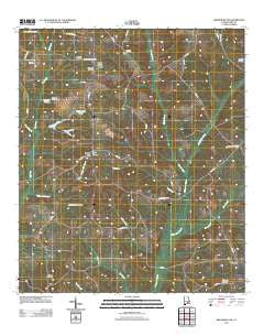 Brundidge NW Alabama Historical topographic map, 1:24000 scale, 7.5 X 7.5 Minute, Year 2011
