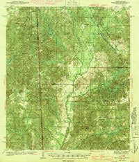 Deer Park Alabama Historical topographic map, 1:62500 scale, 15 X 15 Minute, Year 1943