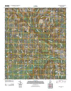 Geneva West Alabama Historical topographic map, 1:24000 scale, 7.5 X 7.5 Minute, Year 2011