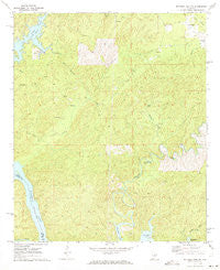 Mitchell Dam NW Alabama Historical topographic map, 1:24000 scale, 7.5 X 7.5 Minute, Year 1971