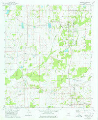 Newbern Alabama Historical topographic map, 1:24000 scale, 7.5 X 7.5 Minute, Year 1980