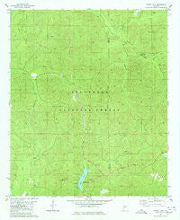 Payne Lake Alabama Historical topographic map, 1:24000 scale, 7.5 X 7.5 Minute, Year 1980