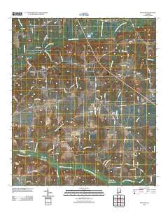 Pinckard Alabama Historical topographic map, 1:24000 scale, 7.5 X 7.5 Minute, Year 2011