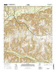 Pinckard Alabama Current topographic map, 1:24000 scale, 7.5 X 7.5 Minute, Year 2014