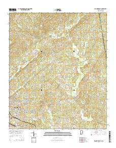 Roanoke East Alabama Current topographic map, 1:24000 scale, 7.5 X 7.5 Minute, Year 2014