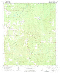 Laneburg Arkansas Historical topographic map, 1:24000 scale, 7.5 X 7.5 Minute, Year 1973