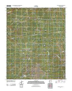 Antelope Lake Arizona Historical topographic map, 1:24000 scale, 7.5 X 7.5 Minute, Year 2011