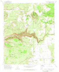 Apache Maid Mtn Arizona Historical topographic map, 1:24000 scale, 7.5 X 7.5 Minute, Year 1965