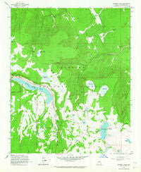 Ashurst Lake Arizona Historical topographic map, 1:24000 scale, 7.5 X 7.5 Minute, Year 1962