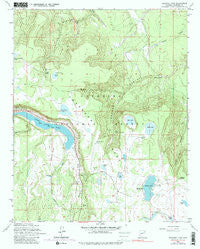 Ashurst Lake Arizona Historical topographic map, 1:24000 scale, 7.5 X 7.5 Minute, Year 1962
