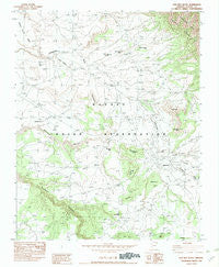 Bad Bug Butte Arizona Historical topographic map, 1:24000 scale, 7.5 X 7.5 Minute, Year 1982