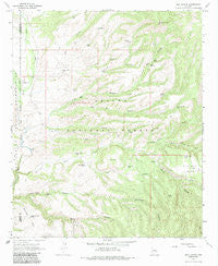 Bee Canyon Arizona Historical topographic map, 1:24000 scale, 7.5 X 7.5 Minute, Year 1967
