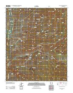 Bee Canyon Arizona Historical topographic map, 1:24000 scale, 7.5 X 7.5 Minute, Year 2011