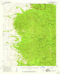 Chiricahua Peak Arizona Historical topographic map, 1:62500 scale, 15 X 15 Minute, Year 1958