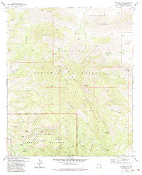 Cochise Head Arizona Historical topographic map, 1:24000 scale, 7.5 X 7.5 Minute, Year 1979