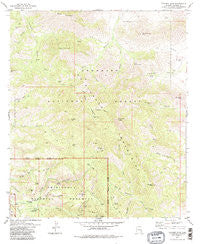 Cochise Head Arizona Historical topographic map, 1:24000 scale, 7.5 X 7.5 Minute, Year 1979