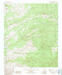 Coronado Mountain Arizona Historical topographic map, 1:24000 scale, 7.5 X 7.5 Minute, Year 1989