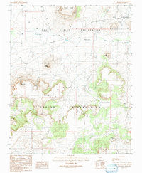 First Flat Mesa Arizona Historical topographic map, 1:24000 scale, 7.5 X 7.5 Minute, Year 1991