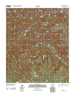 Forks Butte Arizona Historical topographic map, 1:24000 scale, 7.5 X 7.5 Minute, Year 2011