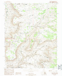 Jumpup Point Arizona Historical topographic map, 1:24000 scale, 7.5 X 7.5 Minute, Year 1988