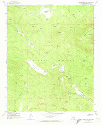 Mormon Mountain Arizona Historical topographic map, 1:24000 scale, 7.5 X 7.5 Minute, Year 1965