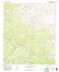 Mount Bigelow Arizona Historical topographic map, 1:24000 scale, 7.5 X 7.5 Minute, Year 1981