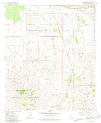 Mount Fagan Arizona Historical topographic map, 1:24000 scale, 7.5 X 7.5 Minute, Year 1981