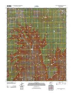 Mount Dellenbaugh Arizona Historical topographic map, 1:24000 scale, 7.5 X 7.5 Minute, Year 2011
