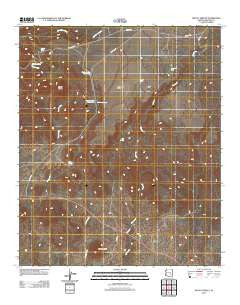 Mount Triplet Arizona Historical topographic map, 1:24000 scale, 7.5 X 7.5 Minute, Year 2011